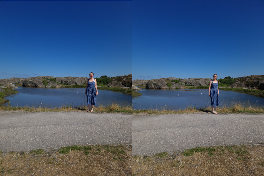 Jessica Dress Schweden